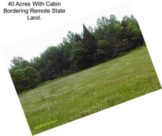 40 Acres With Cabin Bordering Remote State Land.