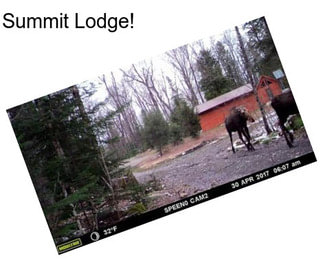 Summit Lodge!