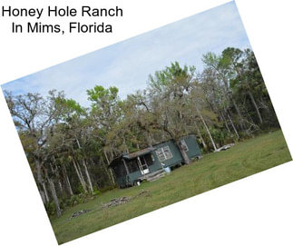 Honey Hole Ranch In Mims, Florida