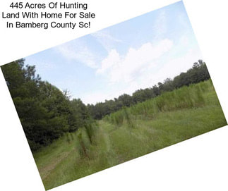 445 Acres Of Hunting Land With Home For Sale In Bamberg County Sc!