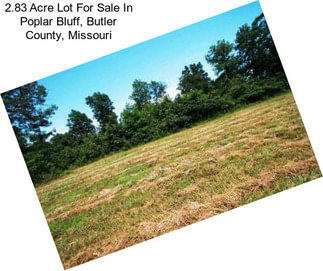 2.83 Acre Lot For Sale In Poplar Bluff, Butler County, Missouri