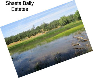 Shasta Bally Estates