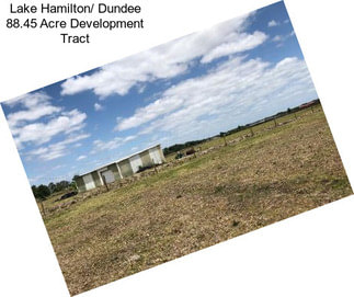 Lake Hamilton/ Dundee 88.45 Acre Development Tract