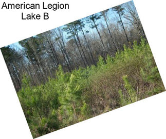 American Legion Lake B