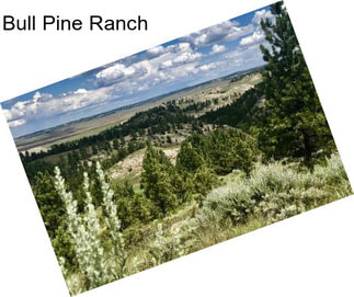 Bull Pine Ranch