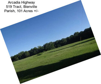 Arcadia Highway 519 Tract, Bienville Parish, 101 Acres +/-