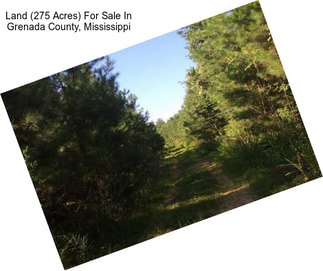 Land (275 Acres) For Sale In Grenada County, Mississippi