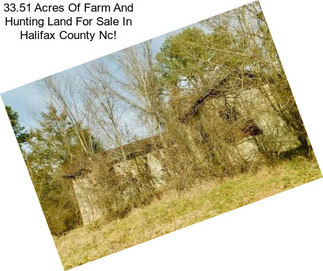 33.51 Acres Of Farm And Hunting Land For Sale In Halifax County Nc!