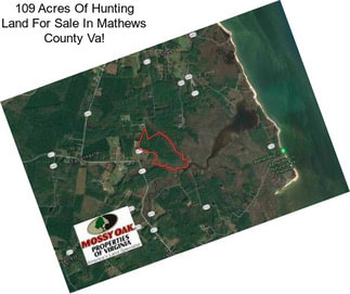 109 Acres Of Hunting Land For Sale In Mathews County Va!