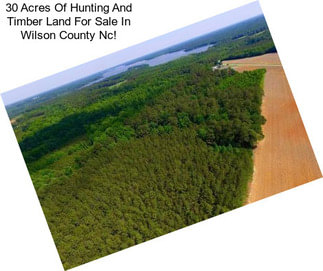 30 Acres Of Hunting And Timber Land For Sale In Wilson County Nc!