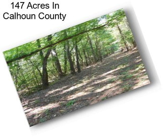 147 Acres In Calhoun County