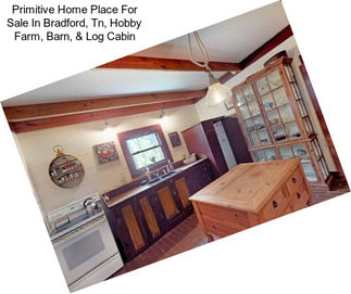 Primitive Home Place For Sale In Bradford, Tn, Hobby Farm, Barn, & Log Cabin