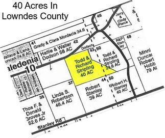 40 Acres In Lowndes County