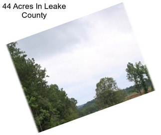 44 Acres In Leake County