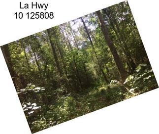 La Hwy 10 125808