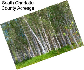 South Charlotte County Acreage