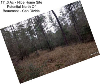 111.3 Ac - Nice Home Site Potential North Of Beaumont - Can Divide