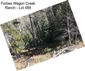 Forbes Wagon Creek Ranch - Lot 488