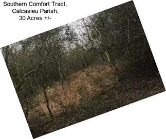 Southern Comfort Tract, Calcasieu Parish, 30 Acres +/-