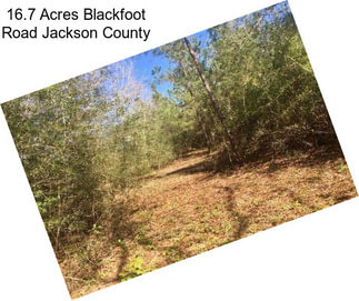 16.7 Acres Blackfoot Road Jackson County