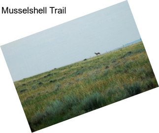Musselshell Trail