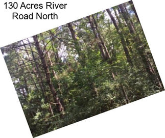 130 Acres River Road North