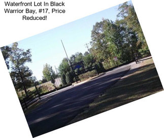 Waterfront Lot In Black Warrior Bay, #17, Price Reduced!