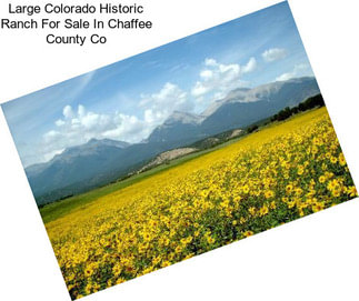 Large Colorado Historic Ranch For Sale In Chaffee County Co