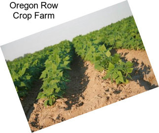Oregon Row Crop Farm