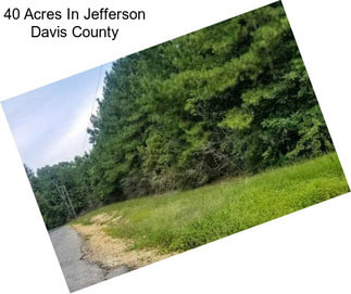 40 Acres In Jefferson Davis County