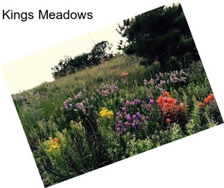 Kings Meadows