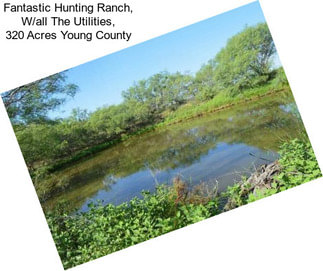 Fantastic Hunting Ranch, W/all The Utilities, 320 Acres Young County