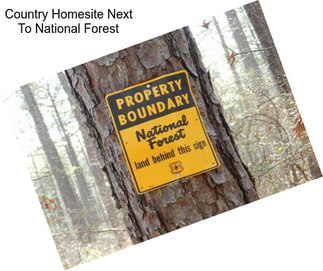 Country Homesite Next To National Forest