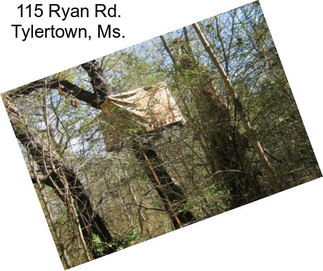 115 Ryan Rd. Tylertown, Ms.