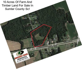 10 Acres Of Farm And Timber Land For Sale In Sumter County Sc!