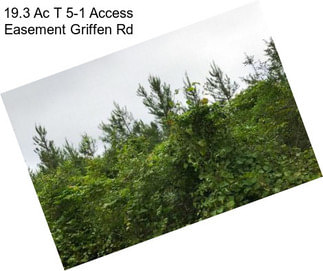 19.3 Ac T 5-1 Access Easement Griffen Rd