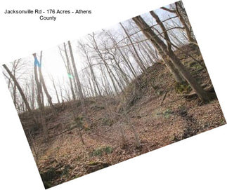 Jacksonville Rd - 176 Acres - Athens County