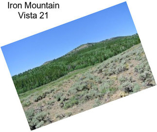 Iron Mountain Vista 21