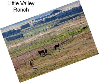 Little Valley Ranch