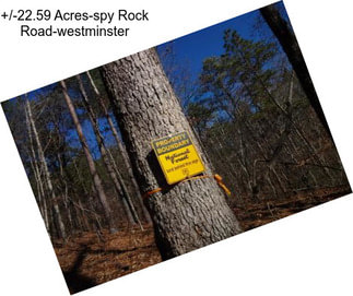 +/-22.59 Acres-spy Rock Road-westminster