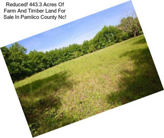 Reduced! 443.3 Acres Of Farm And Timber Land For Sale In Pamlico County Nc!
