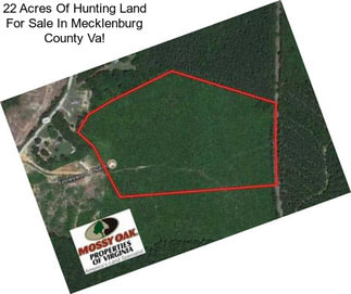 22 Acres Of Hunting Land For Sale In Mecklenburg County Va!
