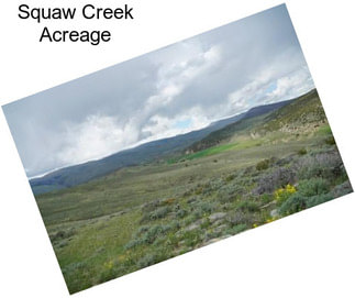 Squaw Creek Acreage