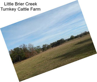 Little Brier Creek Turnkey Cattle Farm