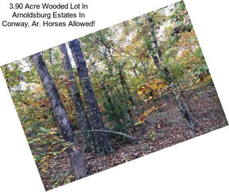 3.90 Acre Wooded Lot In Arnoldsburg Estates In Conway, Ar. Horses Allowed!
