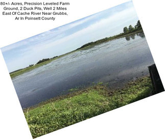 80+/- Acres, Precision Leveled Farm Ground, 2 Duck Pits, Well 2 Miles East Of Cache River Near Grubbs, Ar In Poinsett County