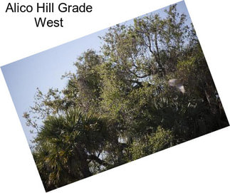 Alico Hill Grade West