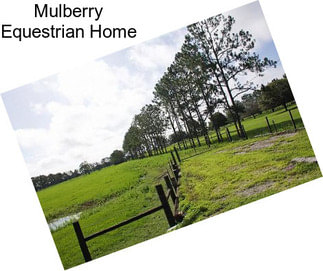 Mulberry Equestrian Home