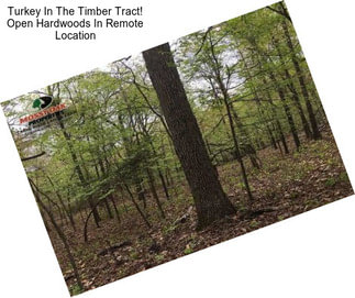 Turkey In The Timber Tract! Open Hardwoods In Remote Location