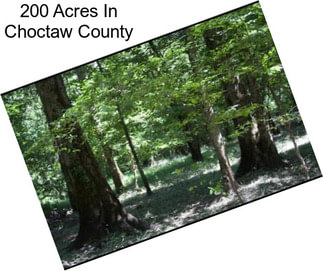 200 Acres In Choctaw County